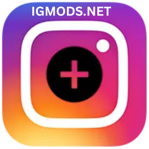 FM Instagram APK Logo